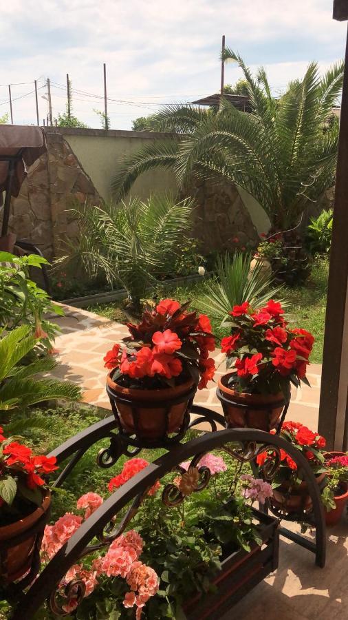 Гостевой Дом Siella Otel Sohum Dış mekan fotoğraf